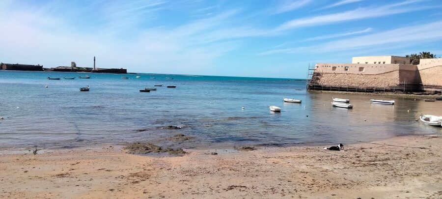 Guided visit on foot through Cádiz: stories from the hand of a local guide - What $14 buys you