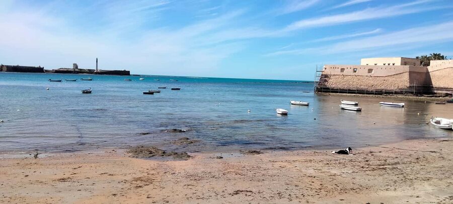 Guided visit on foot through Cádiz: stories from the hand of a local guide - Should you book this Cádiz walk?