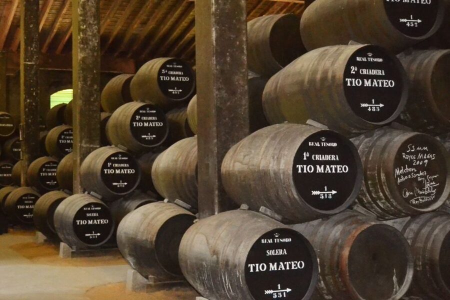 Half-Day Wine Tour in Andalusia in small group - At a glance