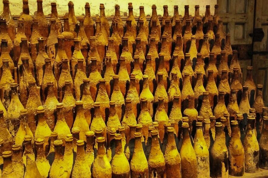 Half-Day Wine Tour in Andalusia in small group - From Seville to Bodegas Andrade