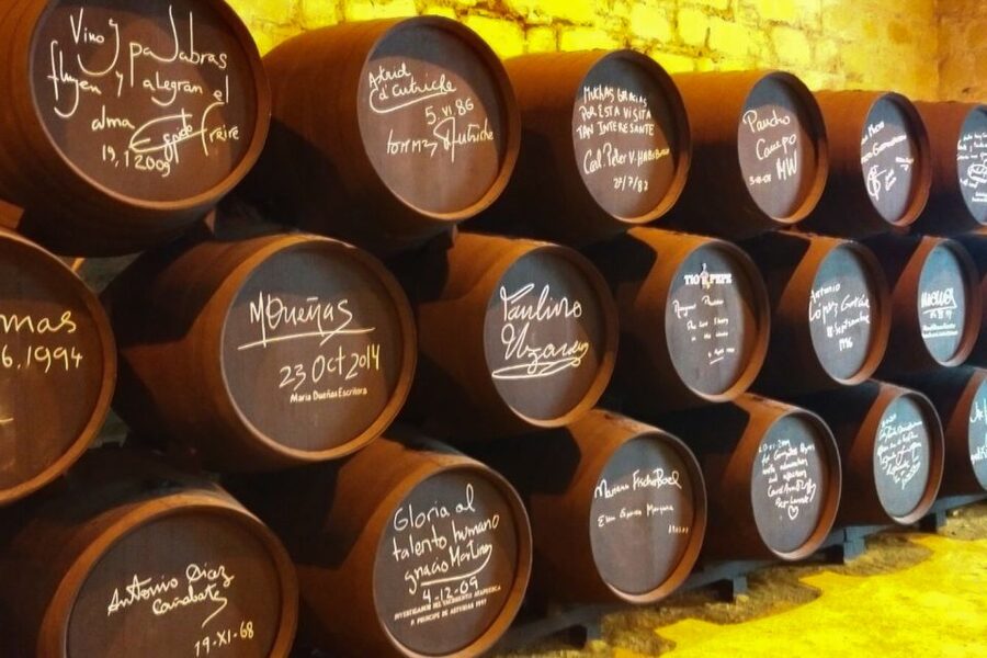 Half-Day Wine Tour in Andalusia in small group - Tasting local Andalusian wines