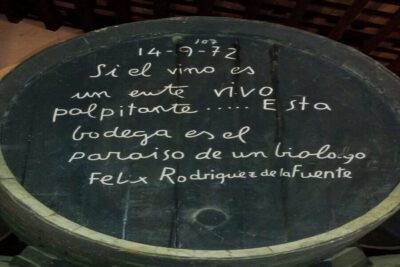 Half-Day Wine Tour in Andalusia in small group