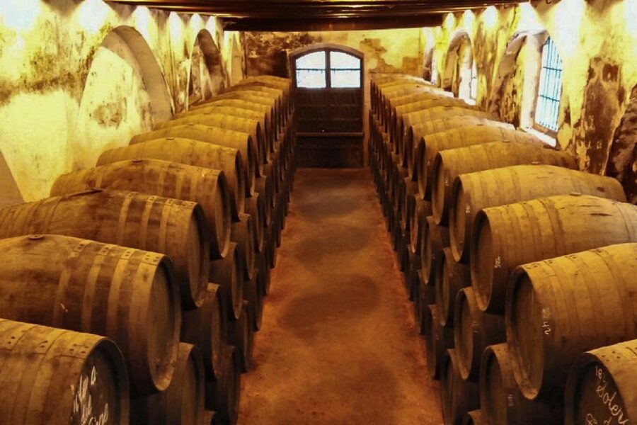 Half-Day Wine Tour in Andalusia in small group - Is $112 a fair price?