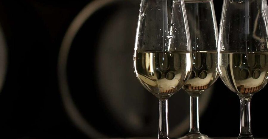 Half-Day Wine Tour in Andalusia in small group - Should you book it?