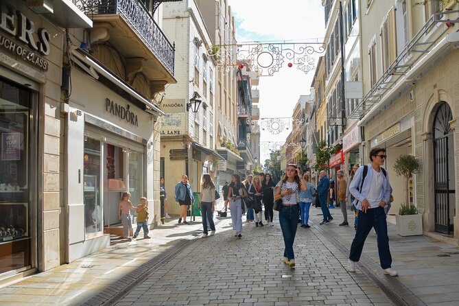 Historic Gibraltar Rock and St Michael's Cave Tour from Seville - The Rock of Gibraltar: big views, short stops