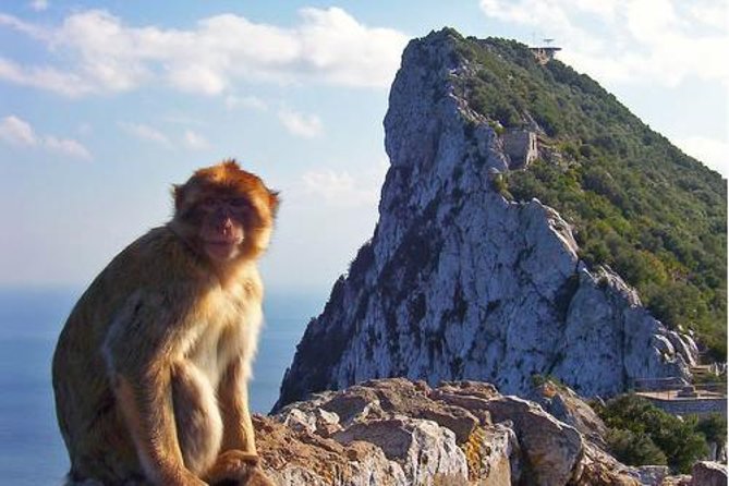 Historic Gibraltar Rock and St Michael's Cave Tour from Seville - FAQ
