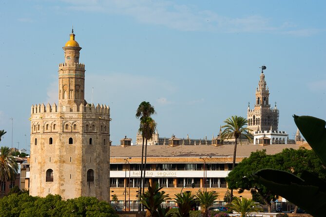 Horse and Carriage Sightseeing Tour in Seville - Who will enjoy this ride most