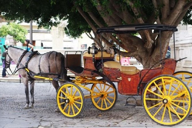 Horse-Drawn Carriage Ride through Seville - Plaza de España: a grand opening to the route