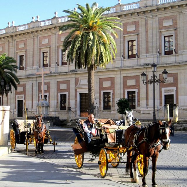 Horse-Drawn Carriage Ride Through Seville - Timing, Language and Horse Welfare