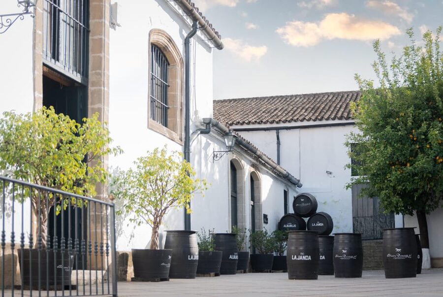 Jerez: Bodegas Álvaro Domecq Guided Tour with Wine Tasting - What to know before you go