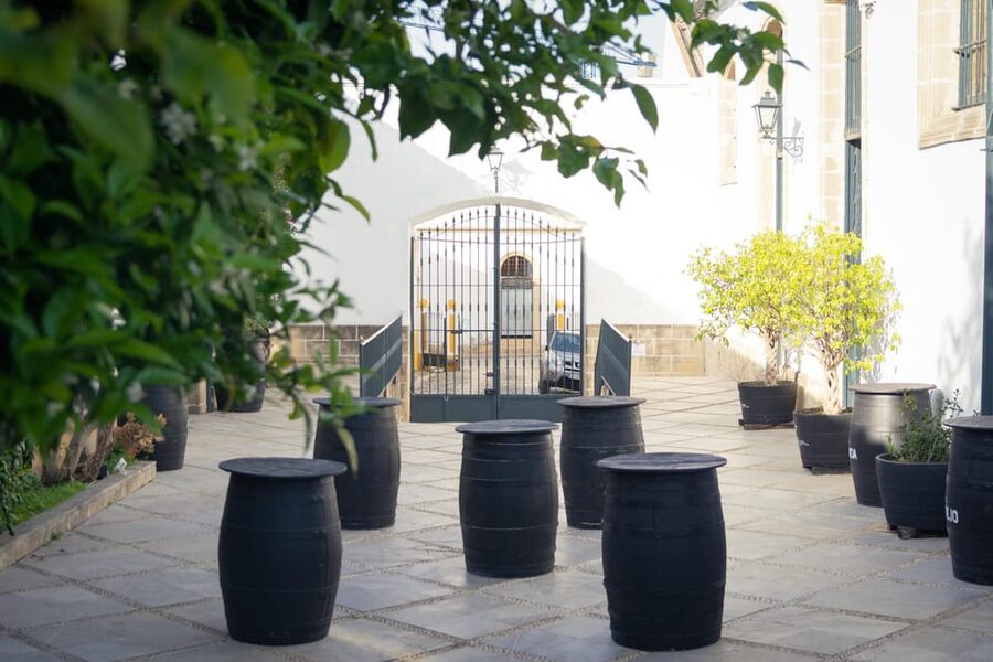 Jerez: Bodegas Álvaro Domecq Guided Tour with Wine Tasting - The tasting: from Fino to very old sherry