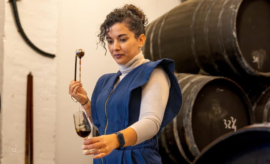 Jerez: Bodegas Álvaro Domecq Guided Tour with Wine Tasting - Should you book the Álvaro Domecq tour?