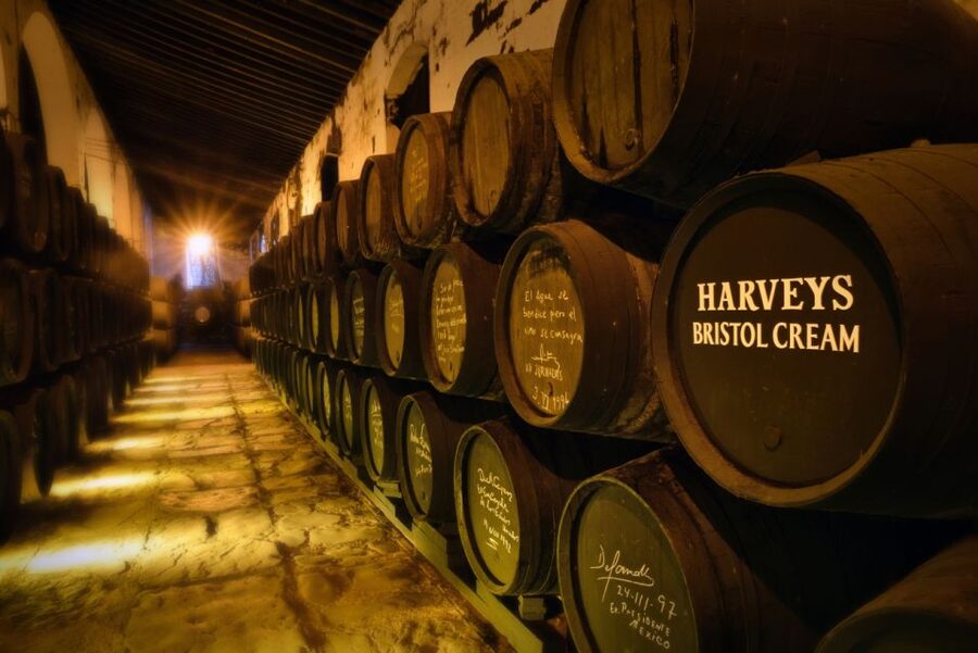 Jerez: Bodegas Fundador Guided Tour with Tasting Session - Follow the story from vineyard to cellar