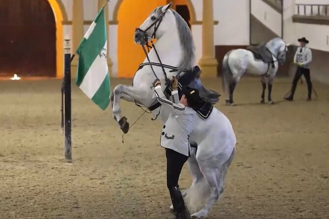 Jerez & Cadiz Winery with Tasting & Opt Horse Show from Seville - A Three-Part Day Out From Seville