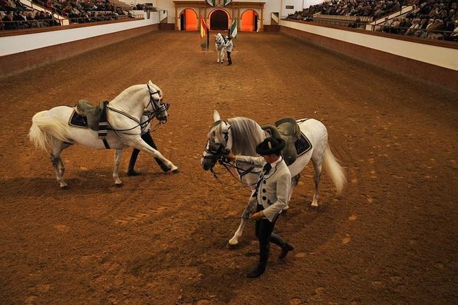 Jerez & Cadiz Winery with Tasting & Opt Horse Show from Seville - Who Should Book This Day Trip?
