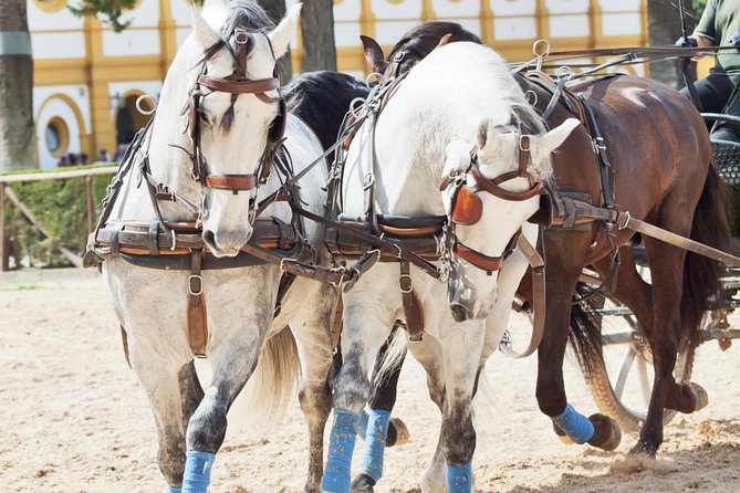 Jerez & Cadiz Winery with Tasting & Opt Horse Show from Seville - FAQ