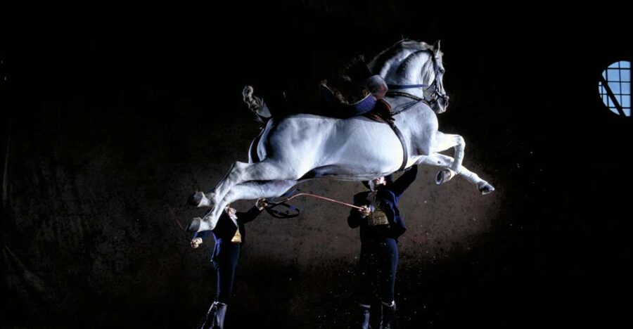 Jerez de la Frontera: Andalusian Horse Dance and Museums - The arena is the heart of the visit