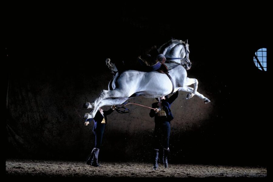 Jerez de la Frontera: Andalusian Horse Dance and Museums - Start early at the visitor centre