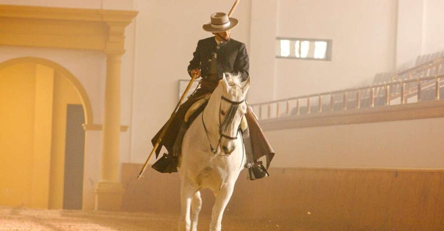 Jerez de la Frontera: How the Andalusian Horses Dance - What Makes This Jerez Horse Show Special