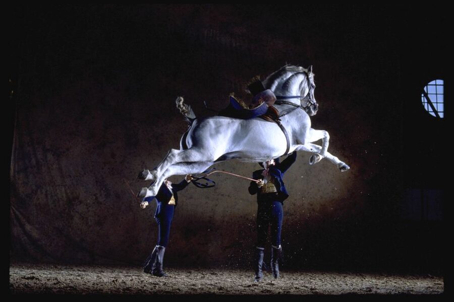 Jerez de la Frontera: How the Andalusian Horses Dance - Carriage Driving: A Different Kind of Teamwork
