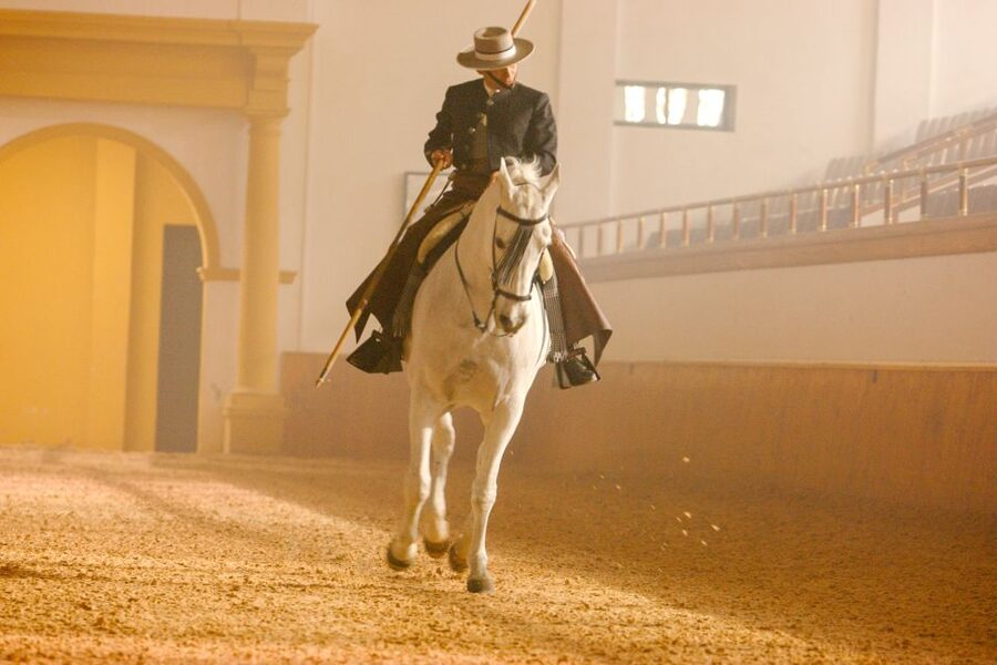 Jerez de la Frontera: How the Andalusian Horses Dance - The Setting, Seats, and Time to Allow
