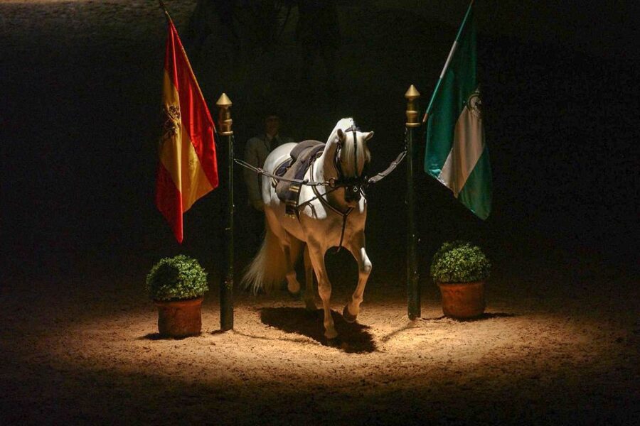 Jerez de la Frontera: How the Andalusian Horses Dance - Getting There from Cádiz and Planning Your Visit