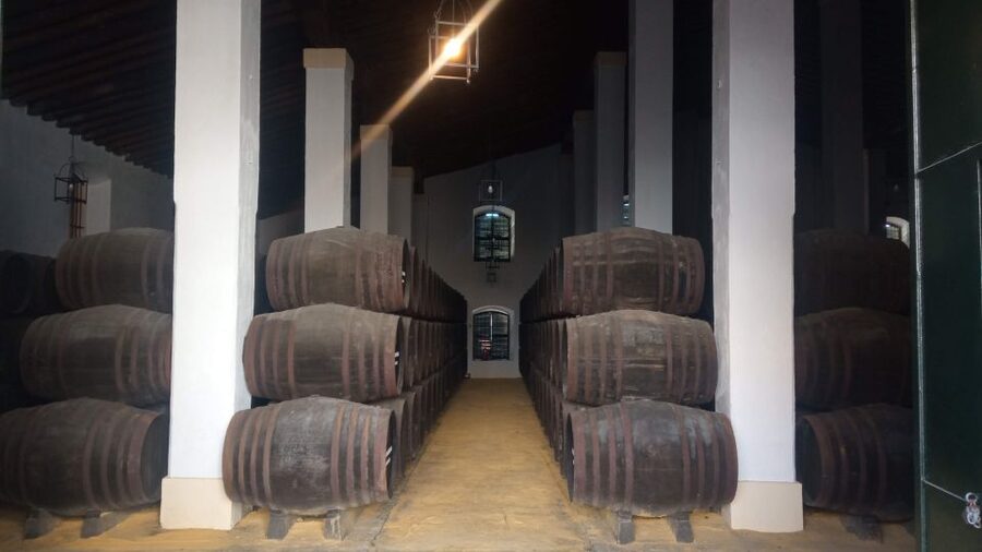 Jerez de la Frontera: Sherry Winery Tour with Tasting - How the exhibits explain sherry