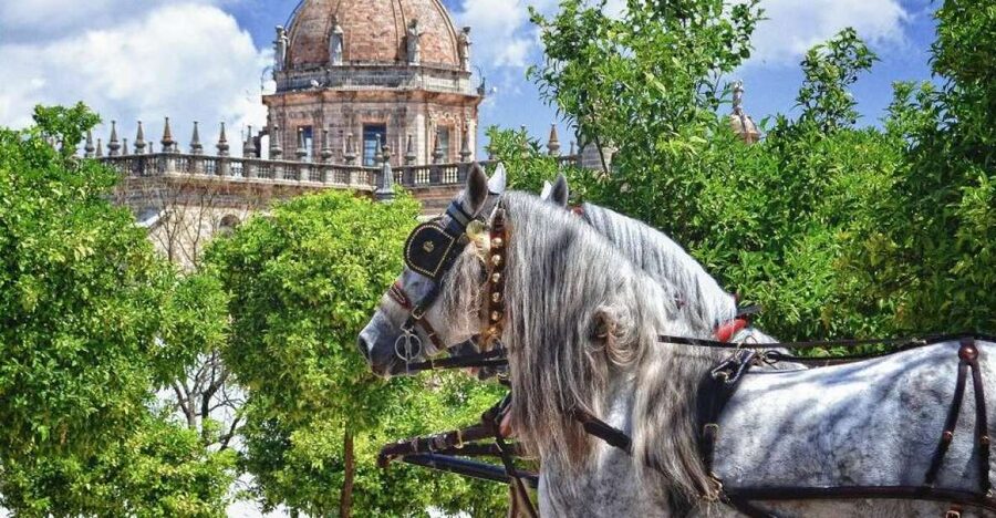 Jerez: Historic Center Guided Tour - San Miguel: church architecture and neighborhood character