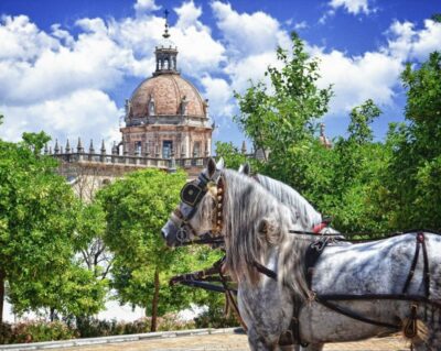 Historic Center Guided Tour