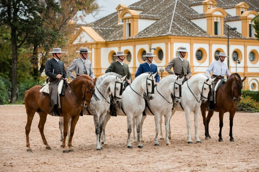 Jerez: Royal Andalusian School of Equestrian Art Admission - At a glance