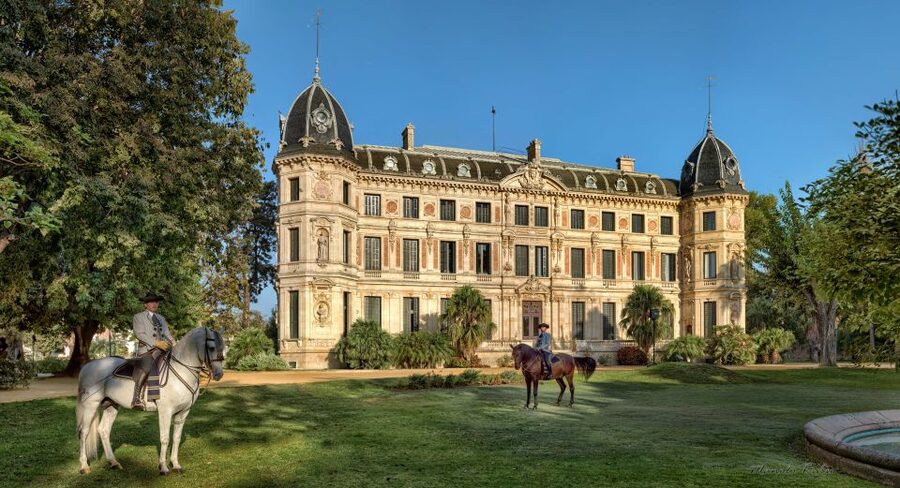 Jerez: Royal Andalusian School of Equestrian Art Admission - A school visit, not a horse show