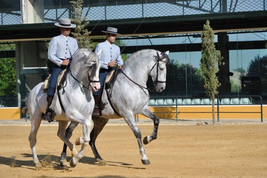 Jerez: Yeguada de la Cartuja Carthusian Horses Tour - What the price covers, and what it does not