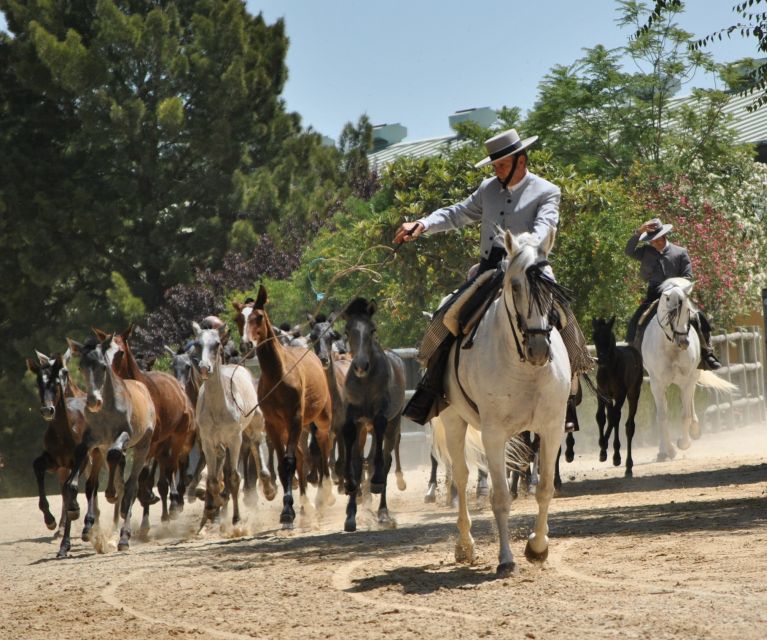 Jerez: Yeguada de la Cartuja Carthusian Horses Tour - Small details that can make the visit smoother