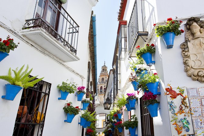 Mosque-Cathedral, Alcazar & Jewish Quarter with Tickets - The Alcázar: check what is open
