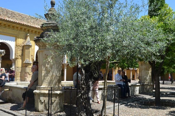 Mosque of Cordoba History Tour in English Tickets included - Should you book it?