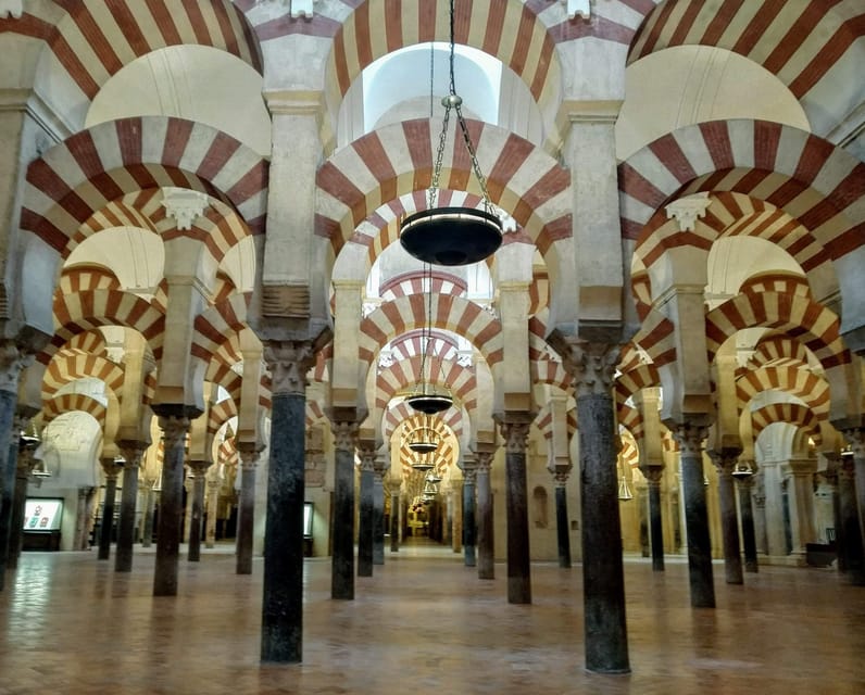 Mosquée Cathédrale tour guidé en petit group en français - Should you book it?