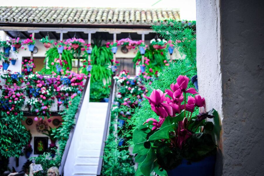 Patios of Cordoba Walking Tour - Entering the courtyards of San Basilio