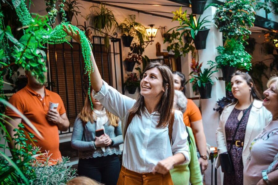 Patios of Cordoba Walking Tour - Why the spring patio contest matters