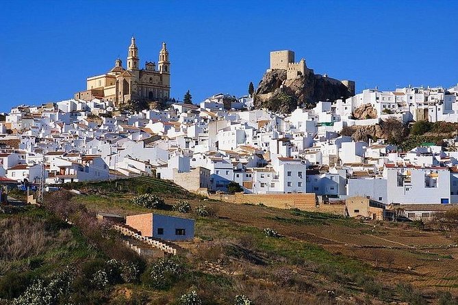 Private Guided Day Trip to the White Villages and Ronda from Seville - Zahara de la Sierra: a hill town with room to linger