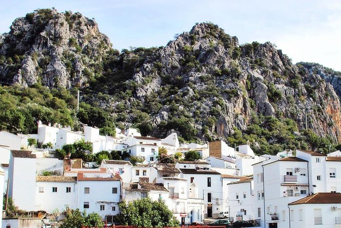 Private Guided Day Trip to the White Villages and Ronda from Seville - Ronda: the bridge, the gorge and a proper lunch break