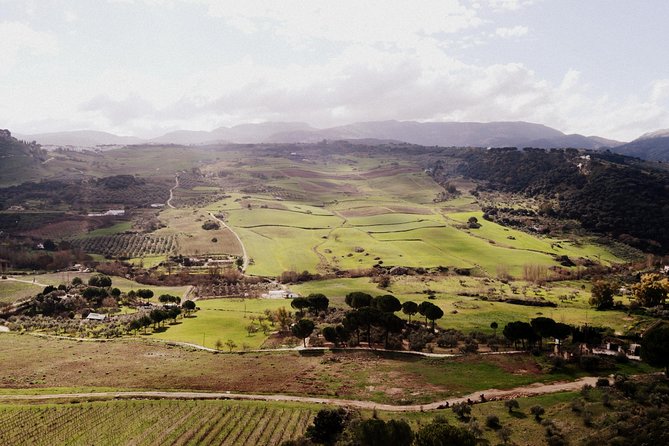 Private Guided Day Trip to the White Villages and Ronda from Seville - Practical details that shape the day