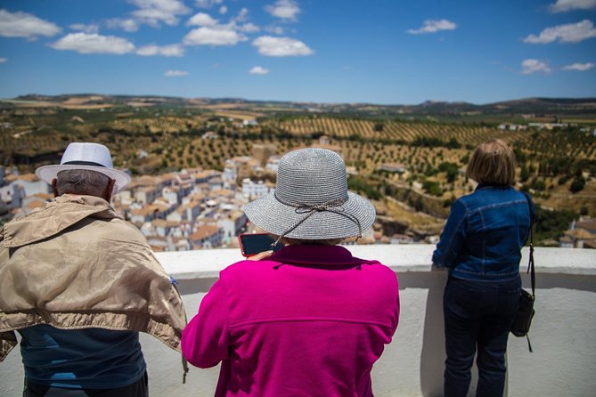 Private Guided Day Trip to the White Villages and Ronda from Seville - Setenil de las Bodegas: streets tucked under the rock
