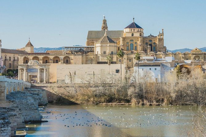 Private Transfer Seville to Granada with a Tour of Cordoba/Mosque - Who should book this Cordoba transfer
