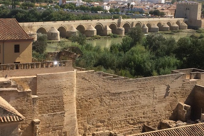 Private Visit Mosque-Cathedral, Jewish quarter, Alcazar and Synagogue - What the private format is worth