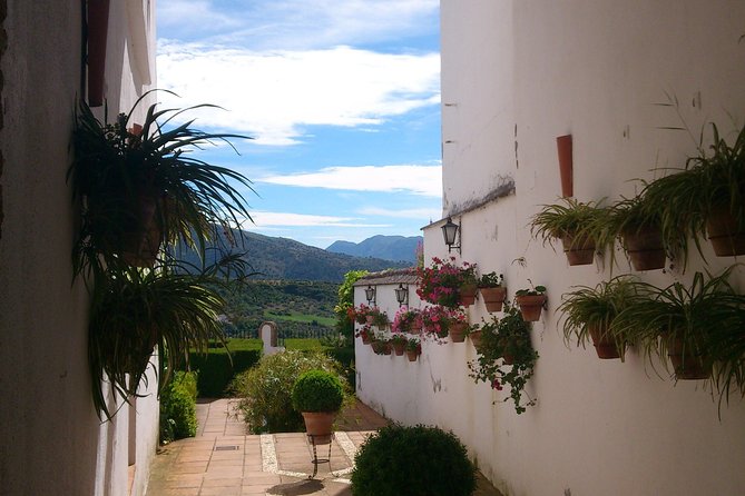 Private White Villages & Ronda Day Tour from Seville - The optional hike, and what to clarify
