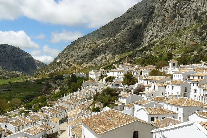 Private White Villages & Ronda Day Tour from Seville - FAQ