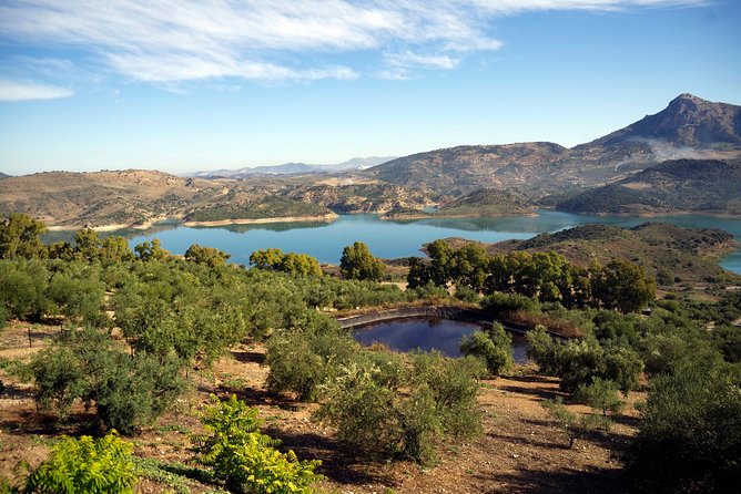 Private White Villages & Ronda Day Tour from Seville - Ronda and the New Bridge