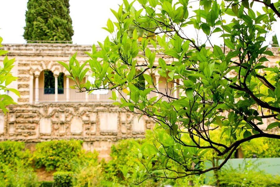 Seville: Alcazar Skip-the-Line Guided Tour with Tickets - Who should choose this tour?