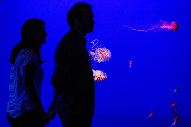 Seville Aquarium Admission Ticket - Start with the Guadalquivir