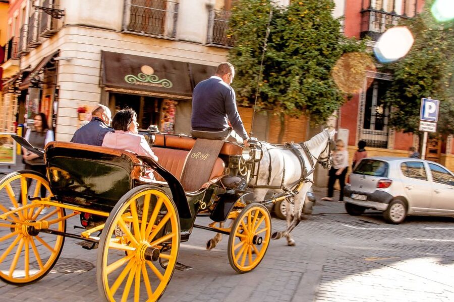 Seville: Authentic and Romantic Horse-Drawn Carriage Ride - At a glance